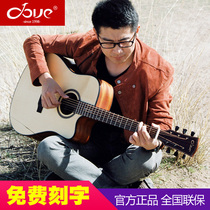 Dove pigeon guitar DD260 40 41 veneer ballad DD280 230 missing horn beginner finger bomb electric box