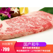 Snow Dragon Black Bull West Cold L-5A Non-marinated Original Cut Children Snowflake Steak Beef Fresh 500g