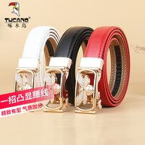 Woodpecker Belt Womens Joker Fashion Leather Automatic Buckling Belt Womens Summer Dress Waist Accessories ins Jeans with Thin