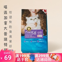 Canada Pratt Practicat imported bentonite litter unscented dust-free deodorization 7 3kg * 3 bags