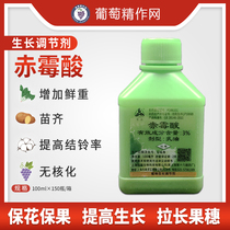 Shanghai Tongrui Sanlian 3% gibberellic acid gibberellin 920 weight gain plant growth regulator 100ml