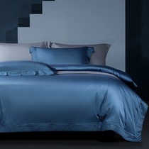 Four-piece set of cotton pure Cotton light luxury European style 80 plush cotton luxury simple sheets Solid color duvet cover bedding