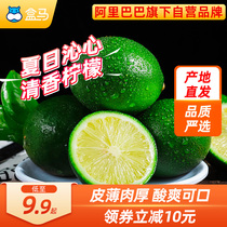 Box Horse Hainan fresh green lemon 2 catty loaded with water peel thin and juicy green fresh fruit milk tea shop whole box wholesale