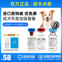 Imported Inttwitz Four Universal Rabies Vaccine Dog Dog with a preferred Kang 4 United Vaccine Package