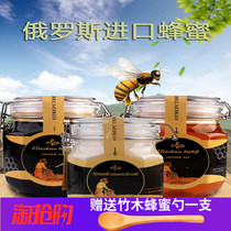 Russia imported wild nature nutrition Linden Tree crystal honey buckwheat all nectar pure honey hot sale