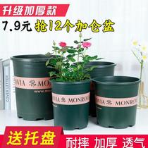 Multi-meat flower pot special price Large Size Gallon Basin With Trays Balcony Green Loo Multimeat Moon Season