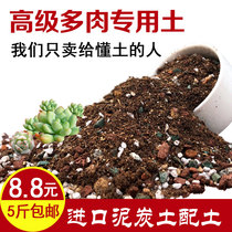 Special nutrient soil for meaty soil meat and meat planting soil universal flower soil orchid paving stone meaty granular soil