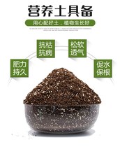 Universal home flower adobe multimeat special nutrient solution to grow flowers and vegetable soil mud soil Xinjiang