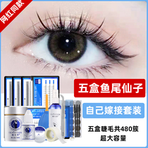 (Recommended by small red book) false eyelashes womens single cluster eyelashes grafted natural fairy hair fishtail mixed with self-adhesive