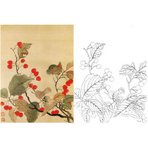 Meticulous painting line draft Yun Shouping bone flower sketch physical print size optional SP70
