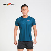 Engine bird summer outdoor quick-drying clothes mens short-sleeved T-shirt sports running crew neck fitness training clothes quick-drying air