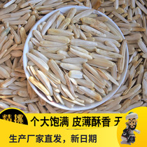 Aksu white horse tooth melon seeds 250g * 4 packs of toothpicks Guako Xinjiang special produce white Pitt grade large sunflower seed slender