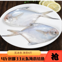 Fresh Changfish chilled Pomfret fresh seafood frozen Pomfret fresh Pomfret small Pomfret Pomfret small 2000g