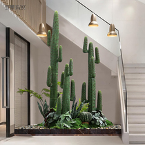 Roman Mom Large Emulation Plant Cactus Immortals Column Ground Plant Bonsai Living-room Window Decoration Pendulum