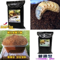 Fermented wood chips mycelium humus soil staggot beetle adult egg spawning soil