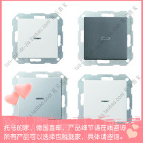 German Gira Gilai System 55 series wall switch 013628 013601 multicolor