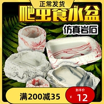 Reptile Water Basin Food Basin Land Tortoise Lizard Lizard Patron Corner Frog Spider Turtle Box Emulated Rock Basin Food Pan Water Pan