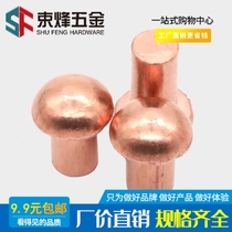 M2M2 5M3M4 copper rivet round head solid rivet red copper semicircular nail round hat nail GB867 Rivet