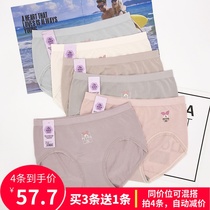 Buy 3 get 1 free cool color womens underwear middle waist middle edition Modal dream Pegasus series womens antibacterial honeycomb pants
