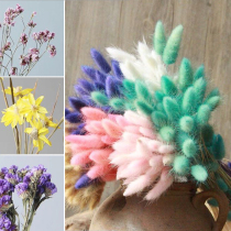 Yunnan forget-me-not dried flowers bouquet mix and match family accessories home furnishings office decoration flowers shooting props