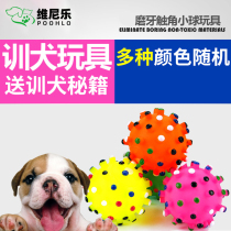 Pet toys Meteor ball Color spherical Pet dog toys Loud toys Sound toys