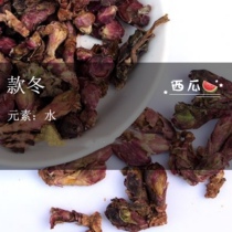 The Winter of the Winter