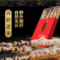 Yiqingtang Wild Mountain Ginseng Northeast Changbai Mountain Ginseng Whole Forest Ginseng Mountain Ginseng Ginseng