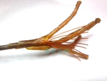 Treasure-level West Wire deep-sea snow oil paper line multi-layer waterproof oil Paper 7 copper core wire charm is super good