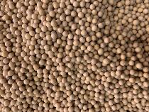 Northeast non-genetically modified new soybeans 5kg farmers self-planted Heilongjiang soybeans raw bean sprouts for soy milk