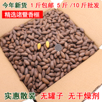 New goods Zhuji Fengqiao Tortilla 500g 1 catty bulk 400g net weight canned fried nut snacks 10 catty batches