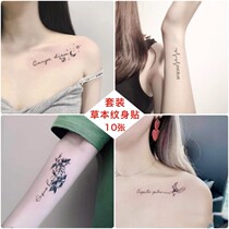 Herbs tattoo stickers simple flowers sexy collarbone Net red English arm juice tattoo stickers semi-permanent
