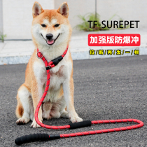 Dog Traction Rope Medium Dog P Chain Walking Dog Rope Large Dog P Rope Explosion Protection for Golden Hair Labrador Dog rope