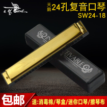 Swan Harmonica Children Beginner Students Adults Senior 24 Holes Cometone C Tone Professional Entrance Organ Musical Instruments