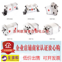 With pressure regulator Taiwan HYDROMAX Xinhong synchronous shunt motor