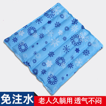 Water cushion anti-bedsores cushion paralyzed elderly ice cushion after hemorrhoids special wheelchair care butt cushion in summer