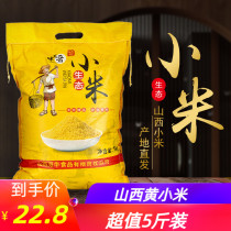 2020 new millet 5 kg Shanxi specialty yellow millet millet porridge New rice farmers eat millet grains