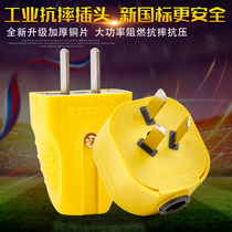 Household flame retardant plug new national standard 10A three-plug plug outdoor battery car charging terminal board two-plug plug