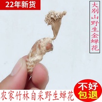 2022 Dabel Shan Golden Ccau Flower 250g knows that peanasis powder is not 500g alternative to winter worm summer