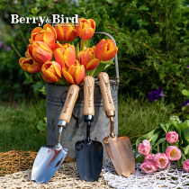 BerryBird Tulip small hand shovel flower seed transplantation pot change soil turning Stainless Steel BB Gardening Tool