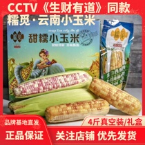 Glutinous rice with sweet glutinous small corn Yunnan West double version na fresh corn Breakfast Coarse Grain Vacuum Packing 4 catty Gift Boxes