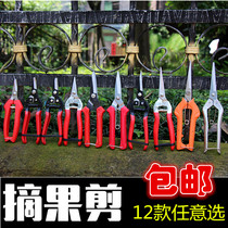 Household dragon fruit scissors Pruning scissors Flower arrangement pruning fruit picking scissors Fruit picking pot flower scissors