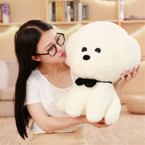 Wang Xiaobai Dog wool suede toy teddy dog emulation dog Haershige paparazzi b doll doll children girl presents