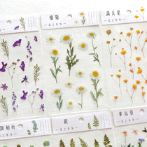 Of course pet transparent imitation dry flower sticker pack flowers and flowers decorative material fresh hand account diary sticker art 1 piece