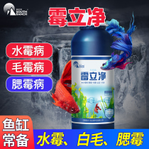 Mildew water purification family box Ornamental fish tank Turtle medicine White spot white hair disease rotten gills rotten tail gills mildew Water mildew quick-cleaning nemesis