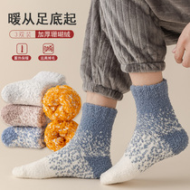Coral fleece socks mens mid-tube autumn and winter thickening and velvet mid-tube sleeping sleep socks warm floor mens mid-socks