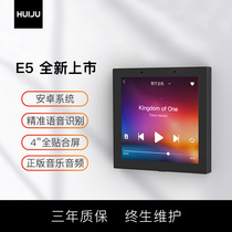 Huiju E5 smart home audio Home background music host system set Living room ceiling speaker controller