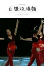  Chinese national folk dance examination level five level examination standard props jubilant waist drum colored silk flying dance money drum