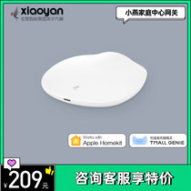Xiaoyan smart home gateway Home smart center siri voice control bridge Apple homekit certification
