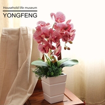 Simulation flower feel 3d printing color simulation Phalaenopsis set small bonsai flower arrangement fresh style ornaments