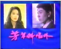 DVD version Yerba Buena Slanting Sun Outside] Zhang Chenguang Yu Xiaofan Lin Wei 3 discs